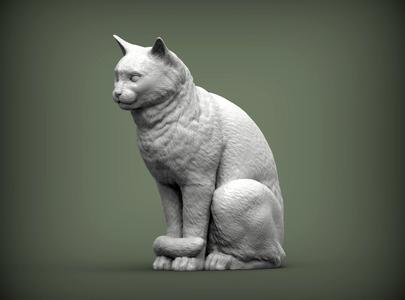 Cat for 3d printing