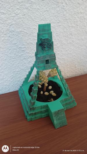 Macetero para suculentas Gran Jaguar