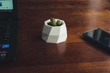 Mini Pot Low Poly