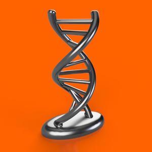 DNA Desk Ornament