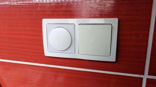 Xiaomi Switch to ABB Swing/SwingL