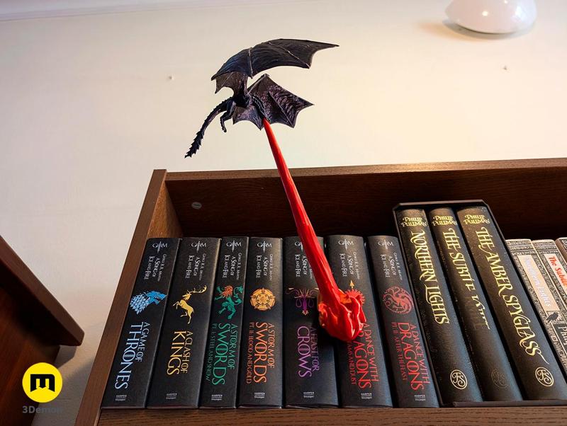 Flying Dragon Book Nook