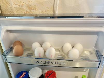 Egg holder for Wolkenstein fridge