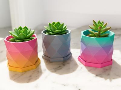 Geometric Succulent/Plant Pot with Water Saucer