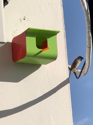 Bird House