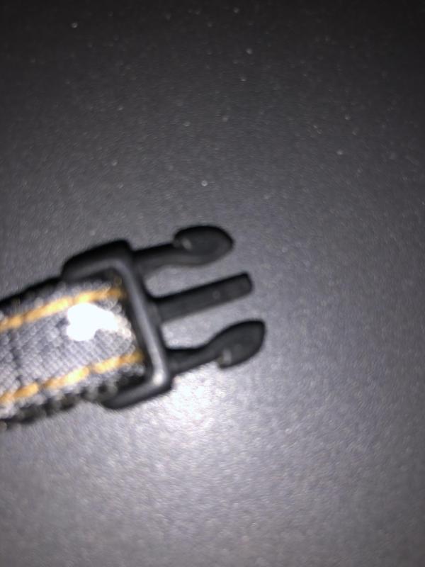 Belt Buckle for cat