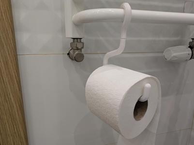 Toilet paper holder hanger