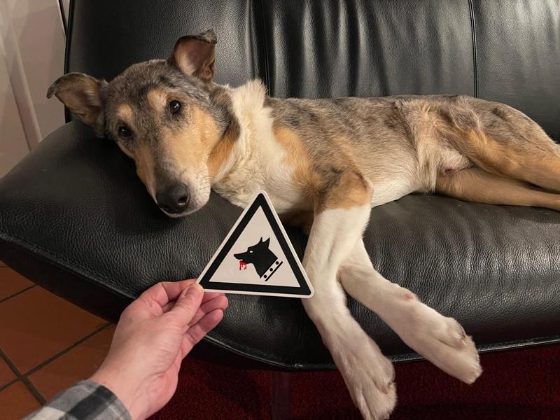 "Beware of the Dog!" Sign (Extreme Edition)