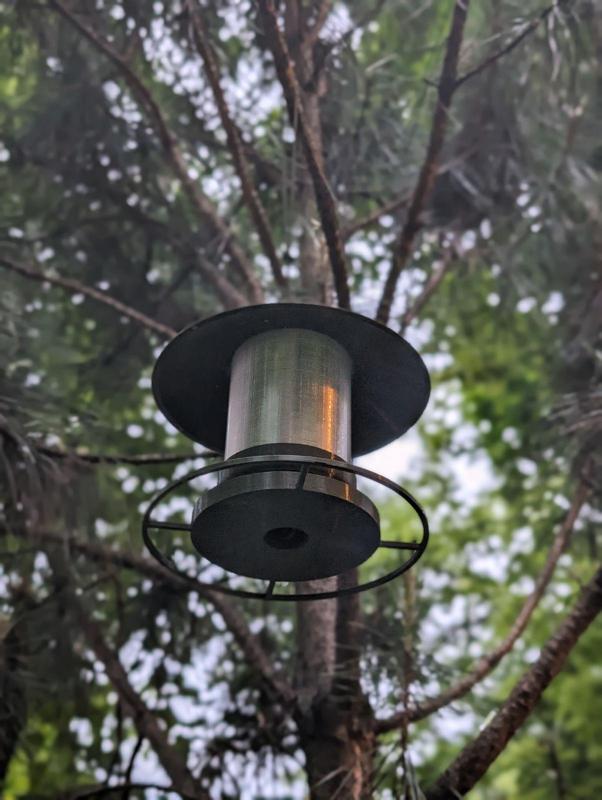 Bird Feeder