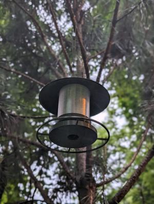 Bird Feeder