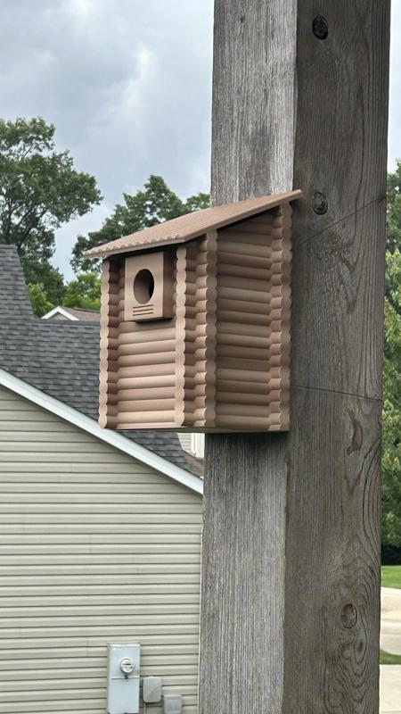 Log Cabin Bluebird Birdhouse