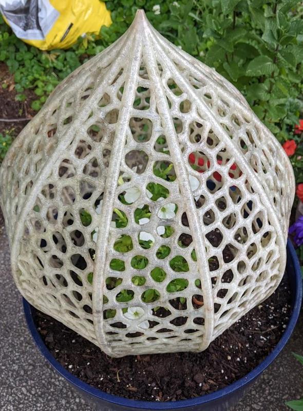 Physalis Dome