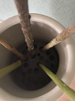 Vase insert for dry / artificial flowers