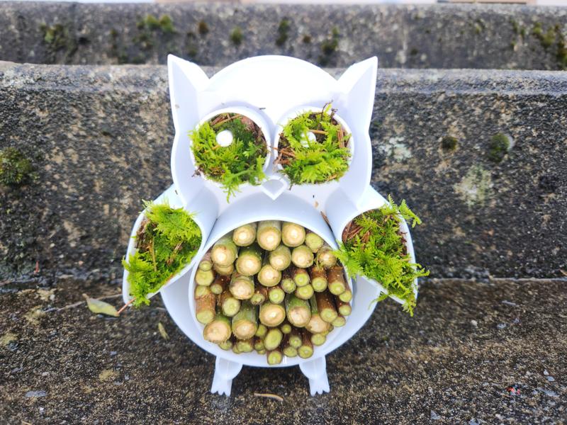 Hôtel à insectes HIBOU