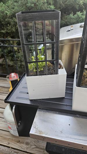 Killer Plants Pot Remix