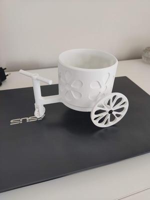 Carrito decorativo para plantas pequeñas o cactus