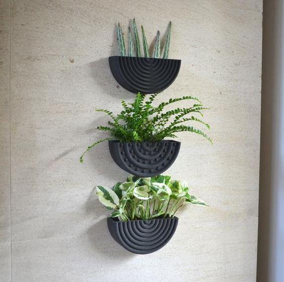 Modern Set of 3 Circle Wall Planter + EDITABLES