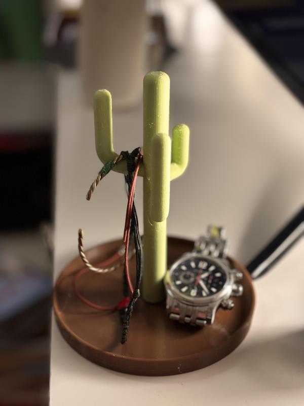 Improved Cactus Jewelry Holder