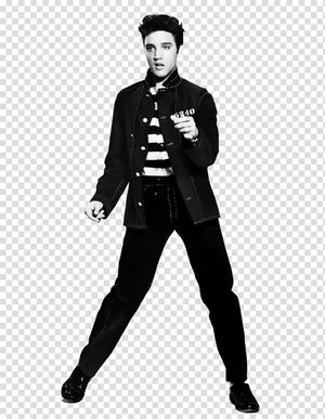 Wall Elvis print