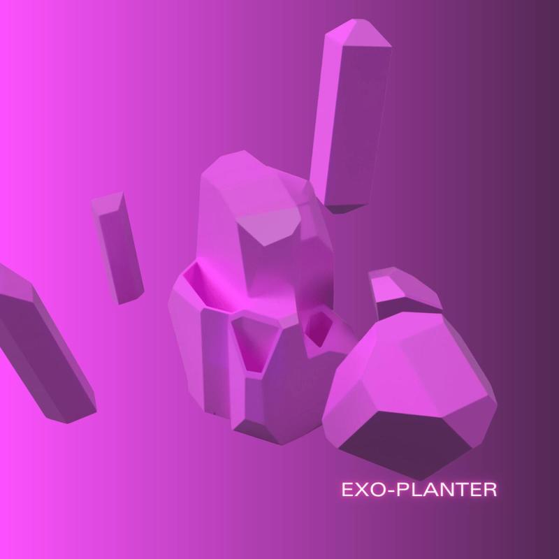 Exo-planter │low poly succulent planter │desk organizer