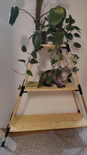Pyramid shelf for plants, deco, shoes, ...