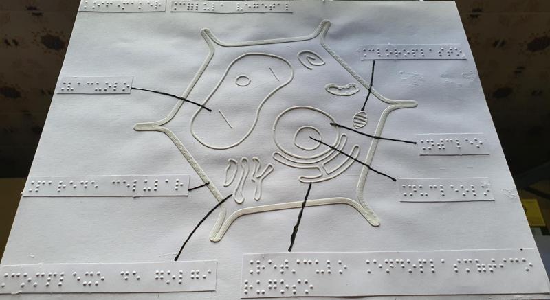 Tactile image: vegetal cell