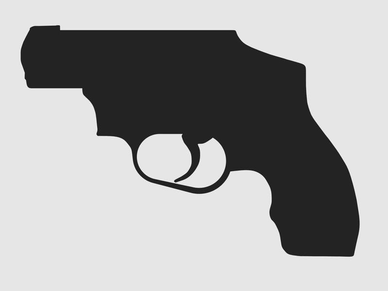 Smith&Wesson M&P340 Silhouette