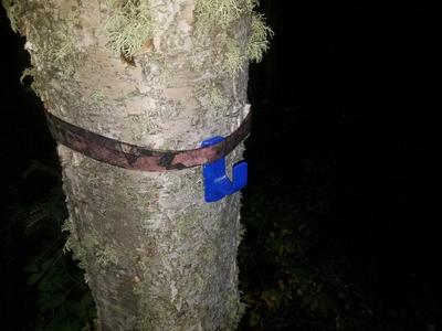 Tree Mounted Pack Holder Hook System. (Parametric/OpenSCAD)