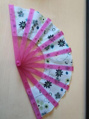 Japanese Folding Fan