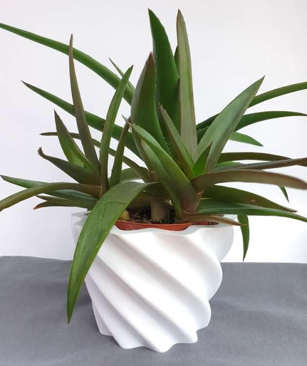 Wavy plant pot