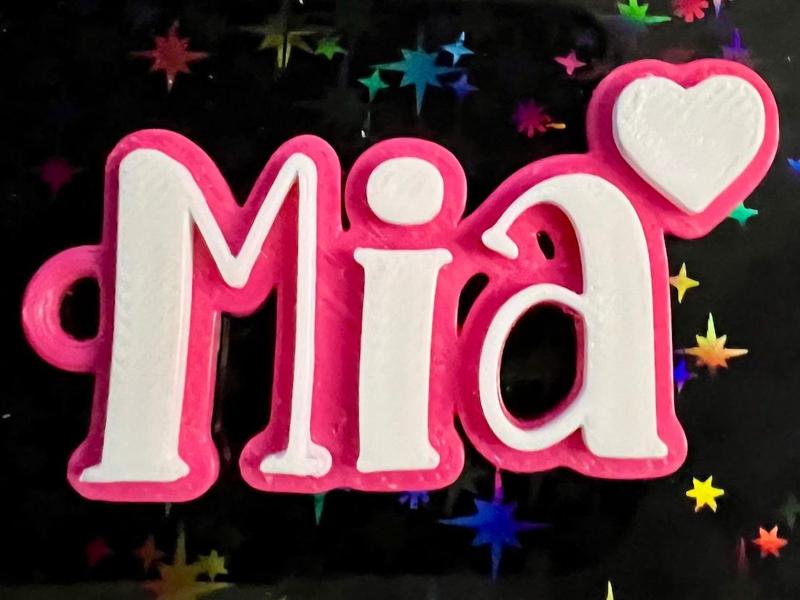 MIA keychain name nametag namedesign key tag