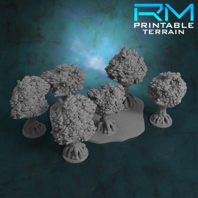 Stormguard Undone: Uffmoor Mangrove Forest