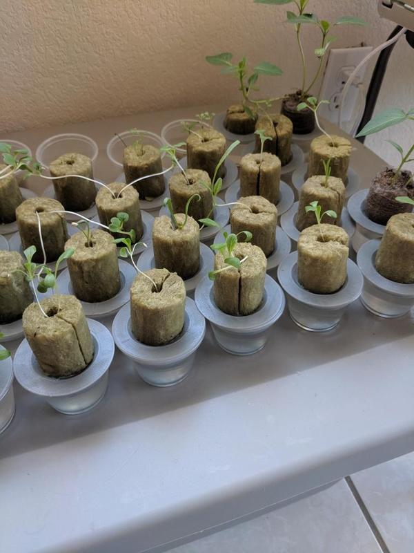 SoloSprout for Modular Fogponic System