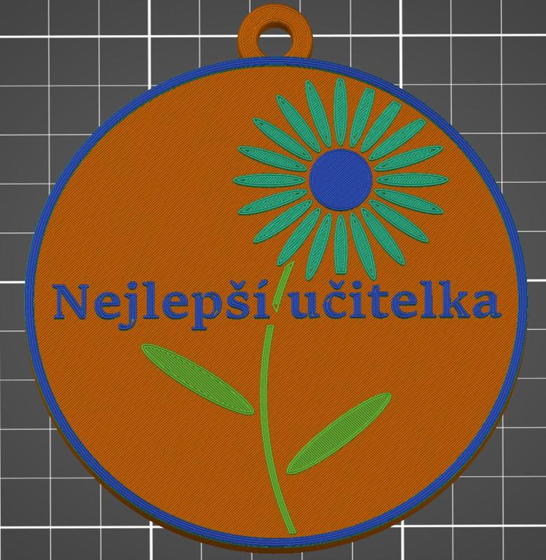 Medal for the best teacher