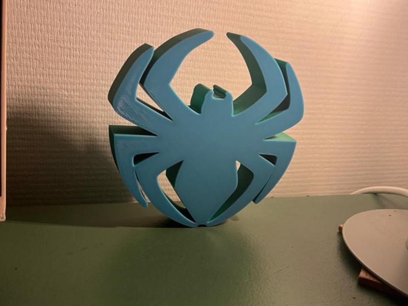 Spiderweb Light Box