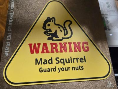 Mad Squirrel Warning