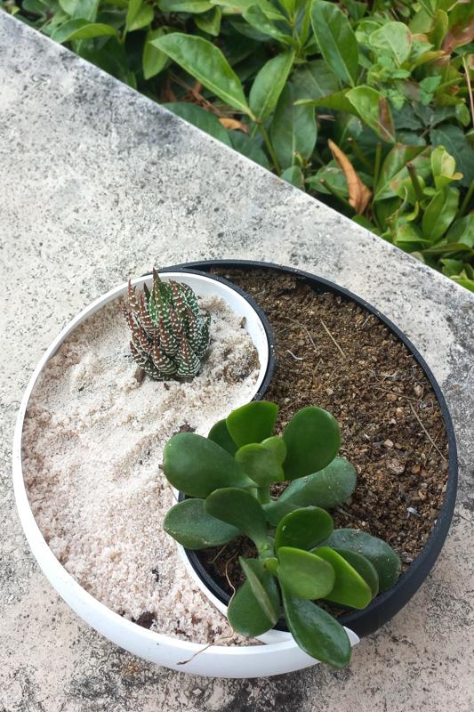 Ying Yang planter vase bowl