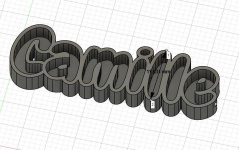 Camille key ring