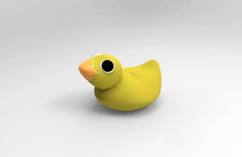 Duck toy