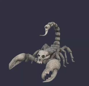 scorpion skull