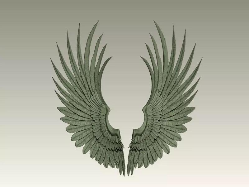 Wing Model 08