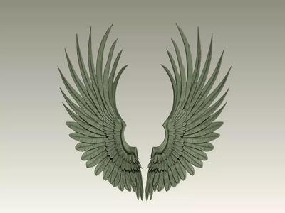 Wing Model 08