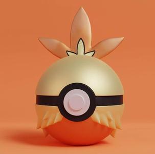 Pokemon Combusken Pokeball