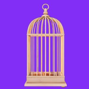 Simple Wooden Bird Cage