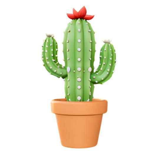 Flowering Cactus in Pot