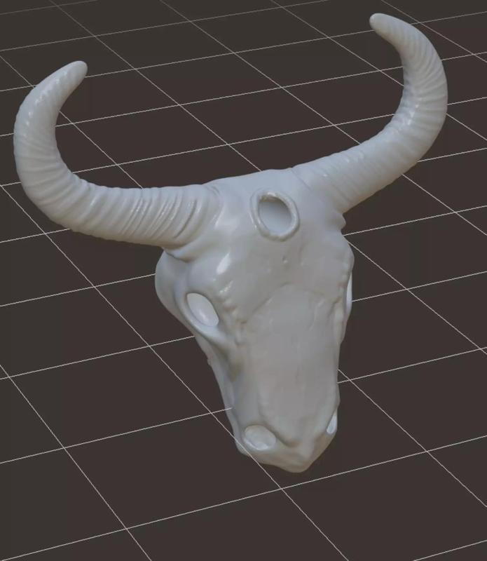 cow miror skull