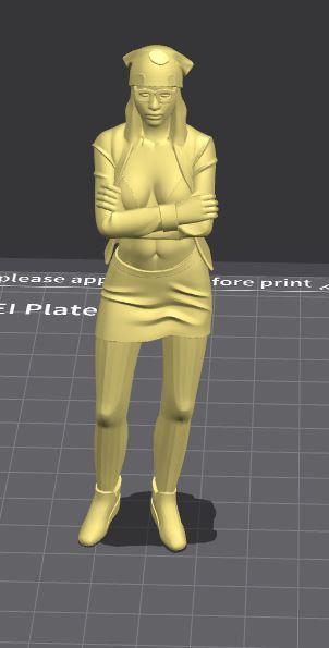 Personaje femenino  de GTA5 " The Lost" / Female character from GTA 5 "The Lost"