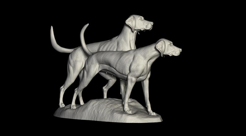 American Fox Hound male and female