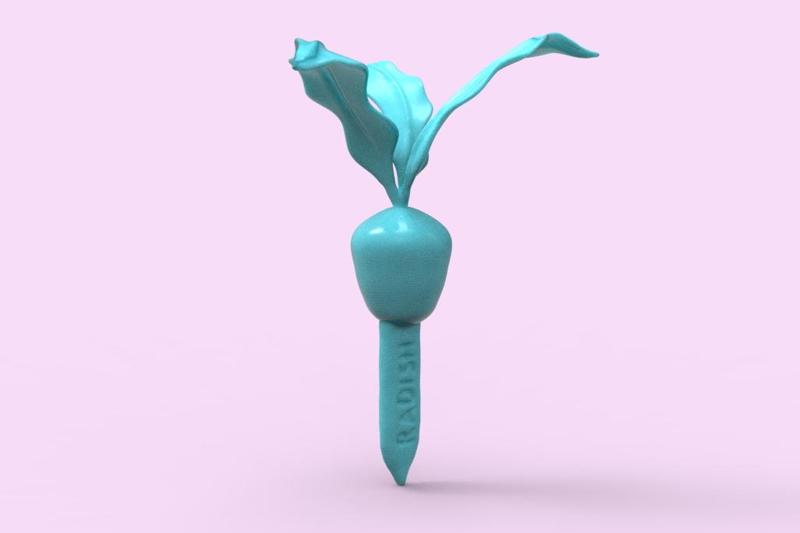 RADISH- VegBed Marker