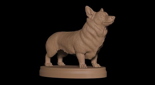 Corgi